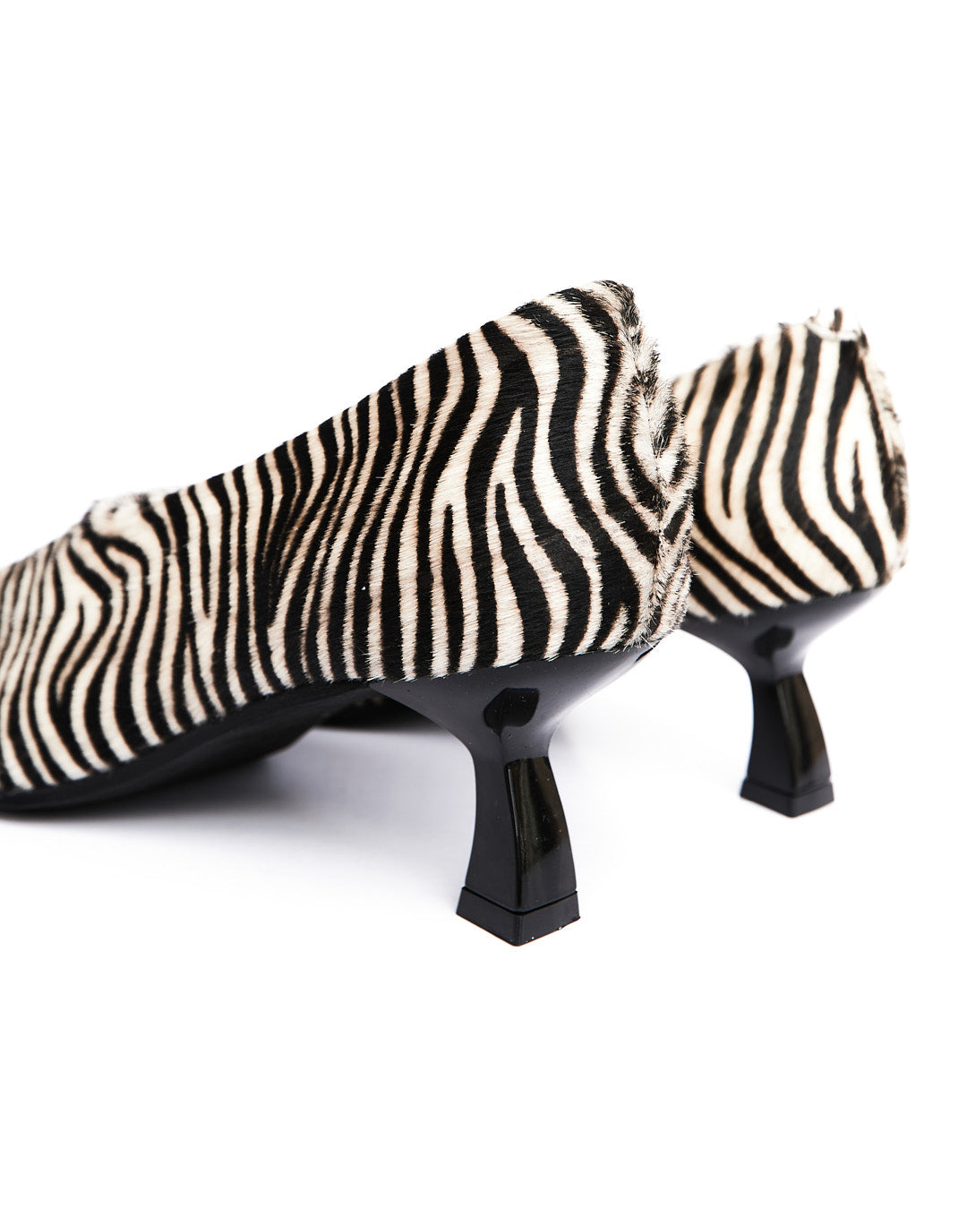 SADE- ZEBRA CAVALLINO