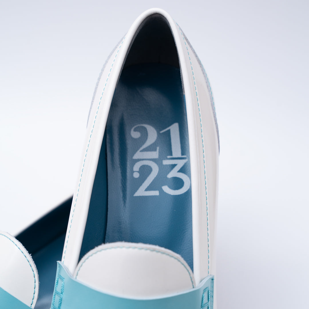 21.23 CAPRI