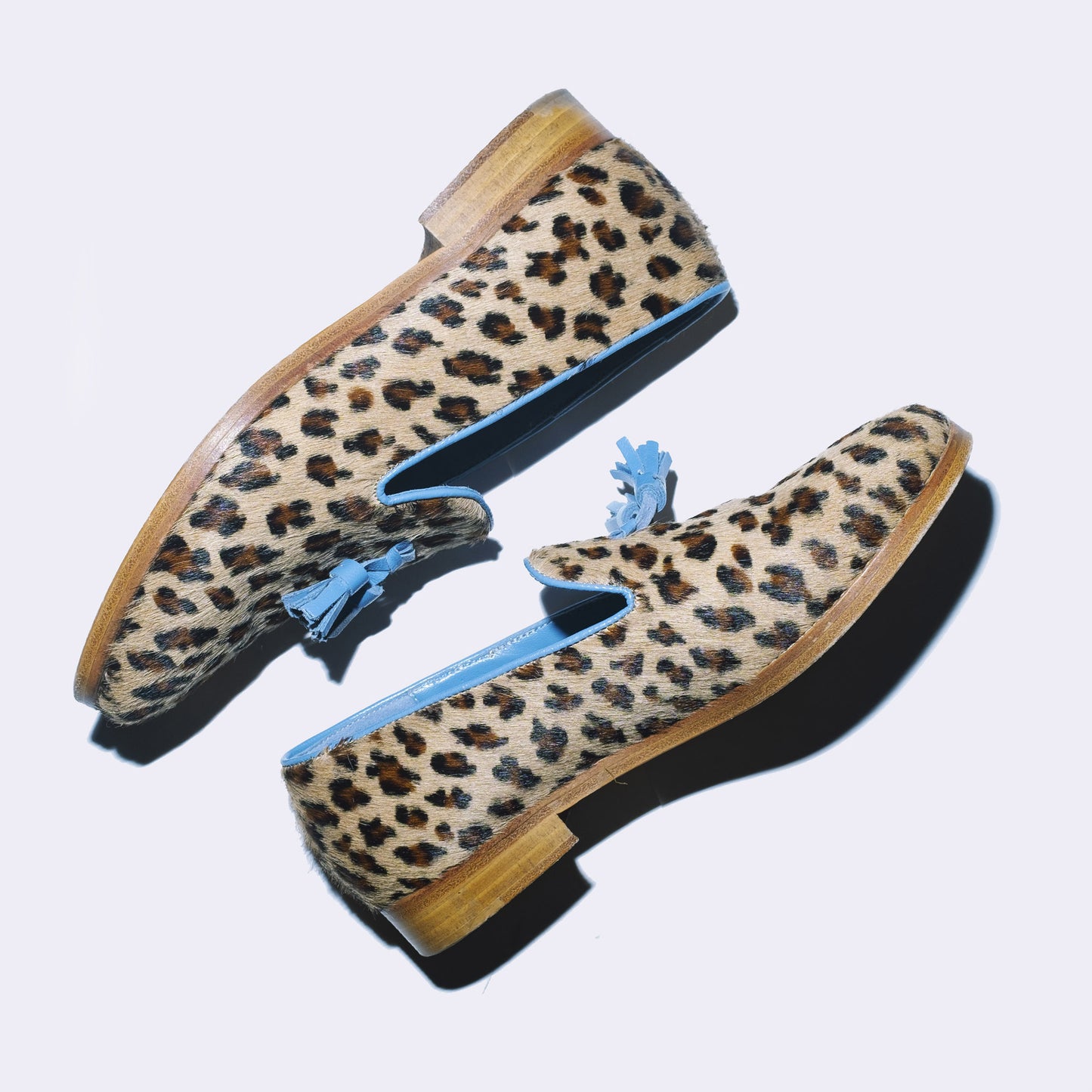 LEOPARD