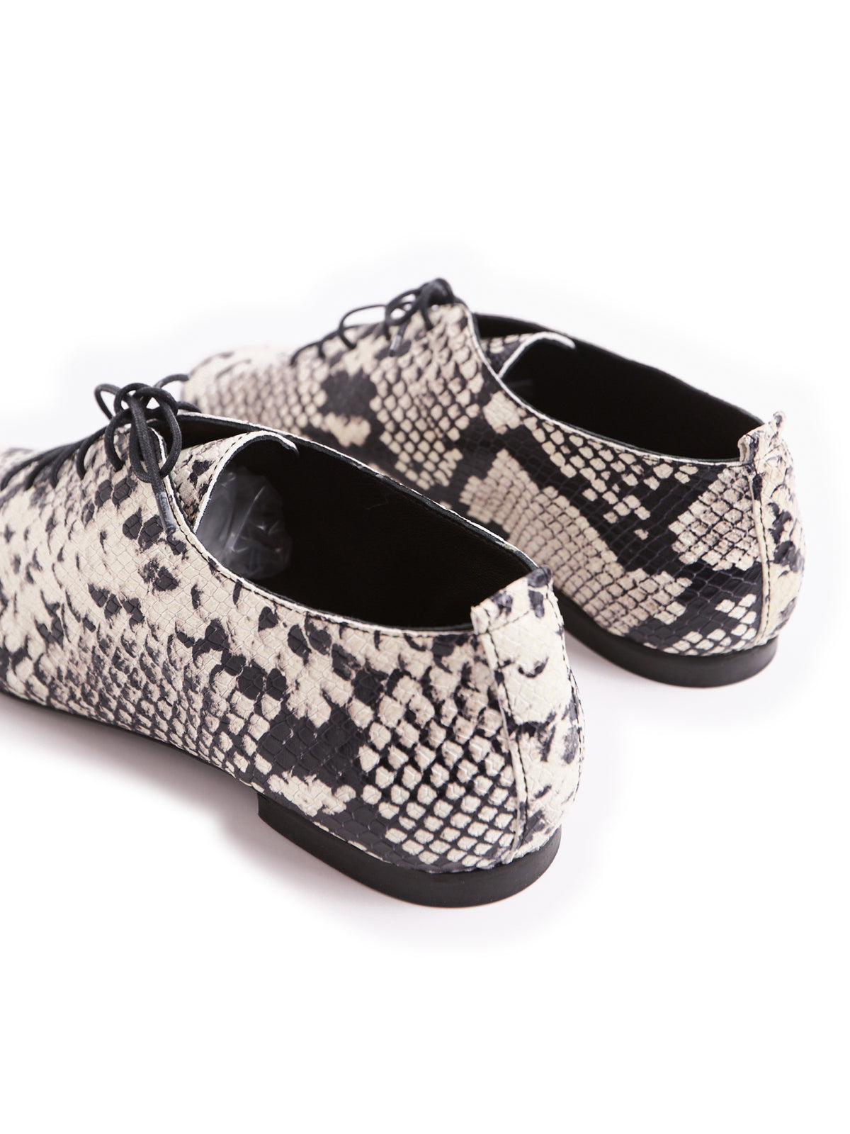 ZIGGY — Scarpa jazz