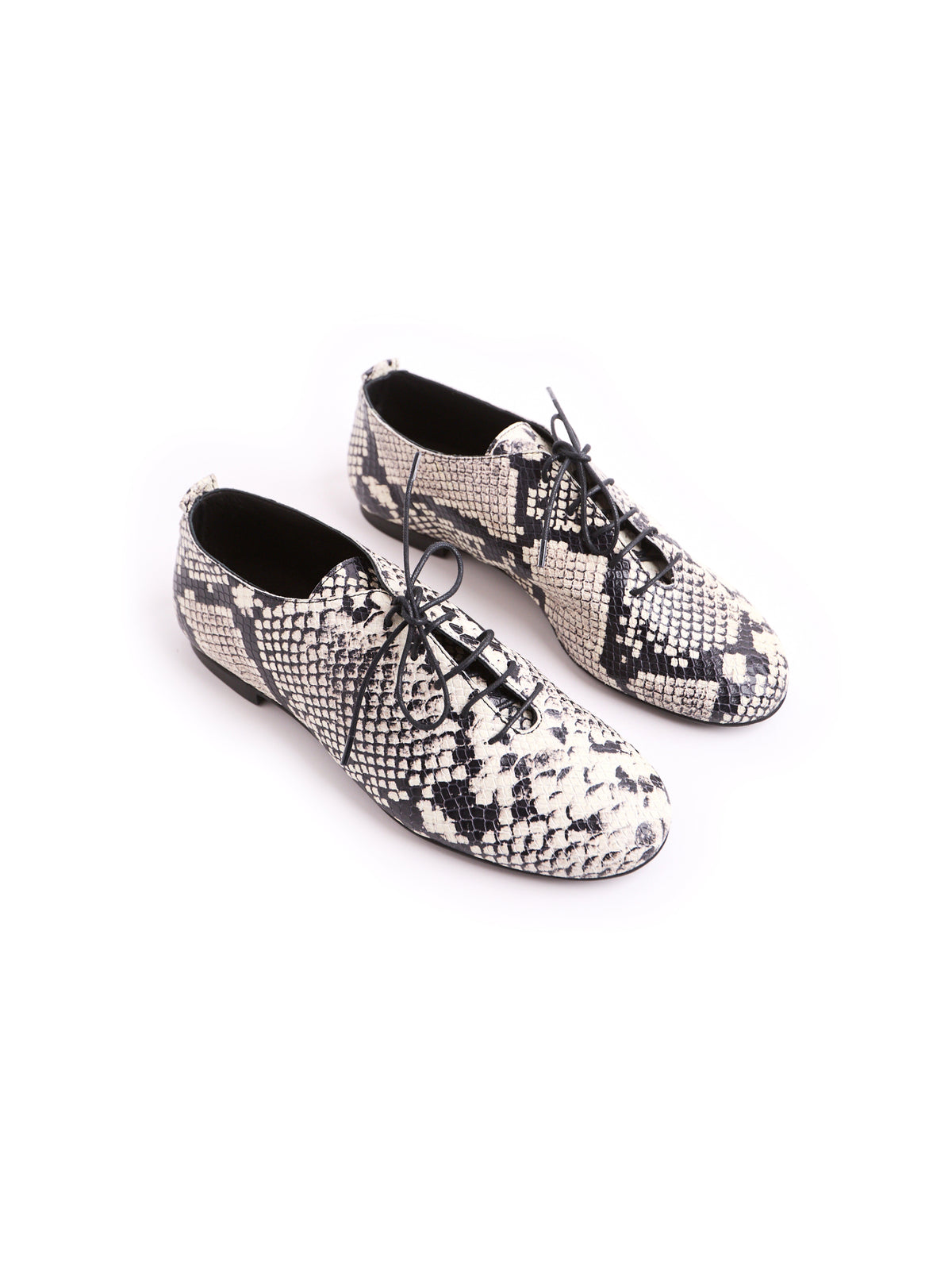 ZIGGY — Scarpa jazz