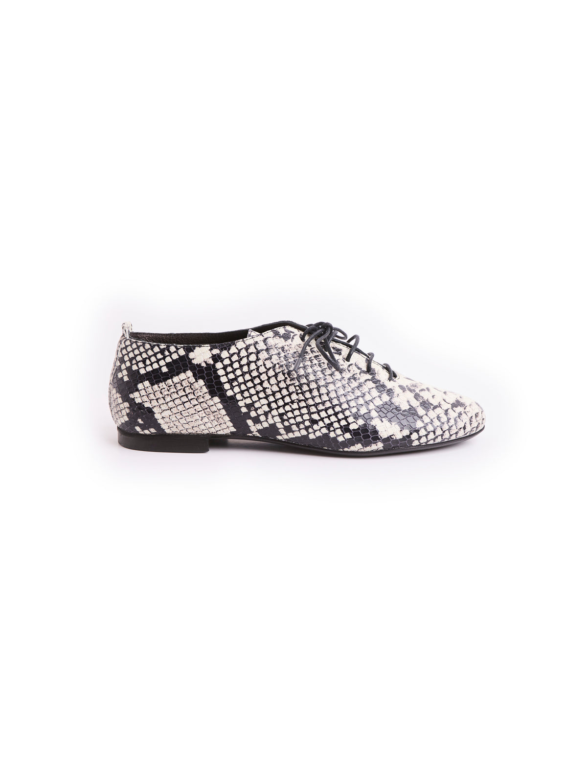 ZIGGY — Scarpa jazz