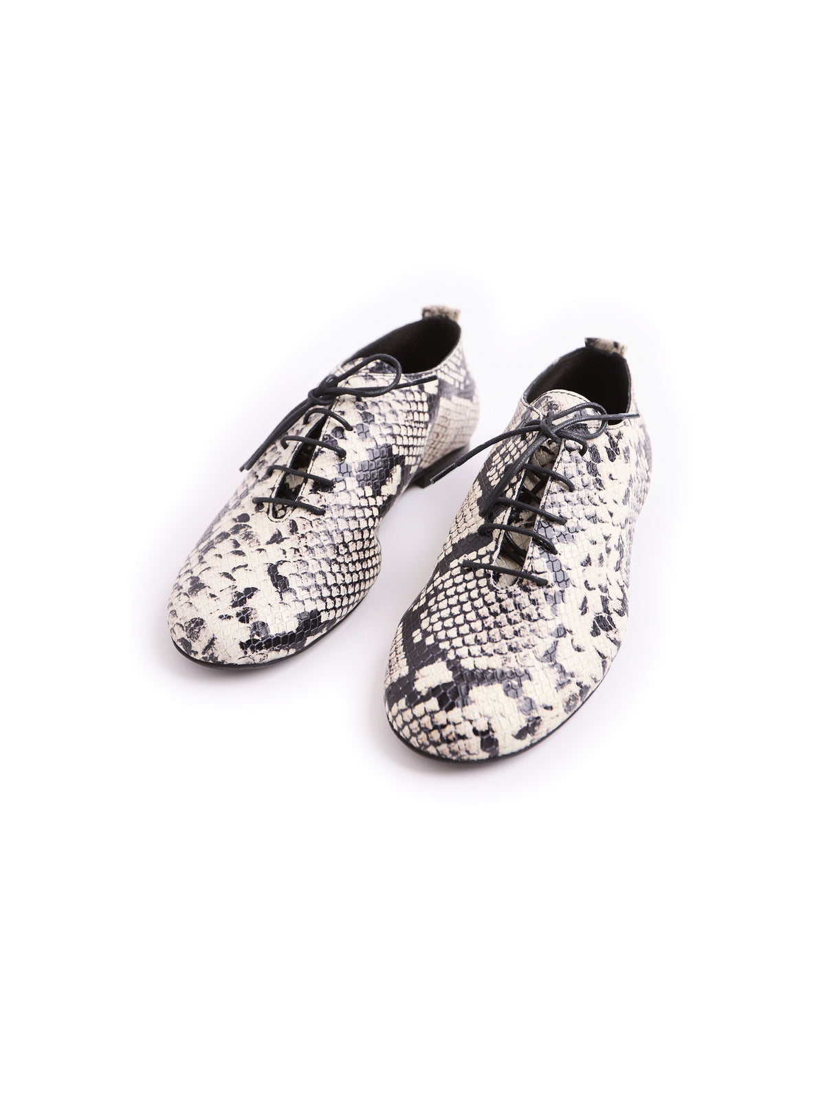 ZIGGY — Scarpa jazz