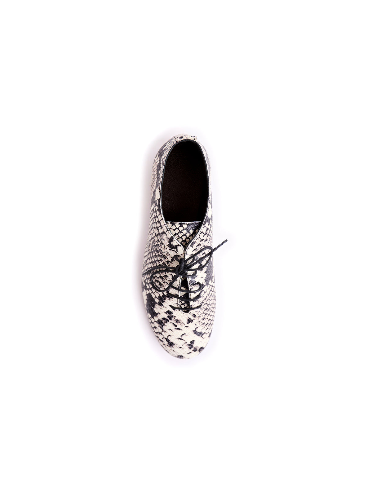 ZIGGY — Scarpa jazz