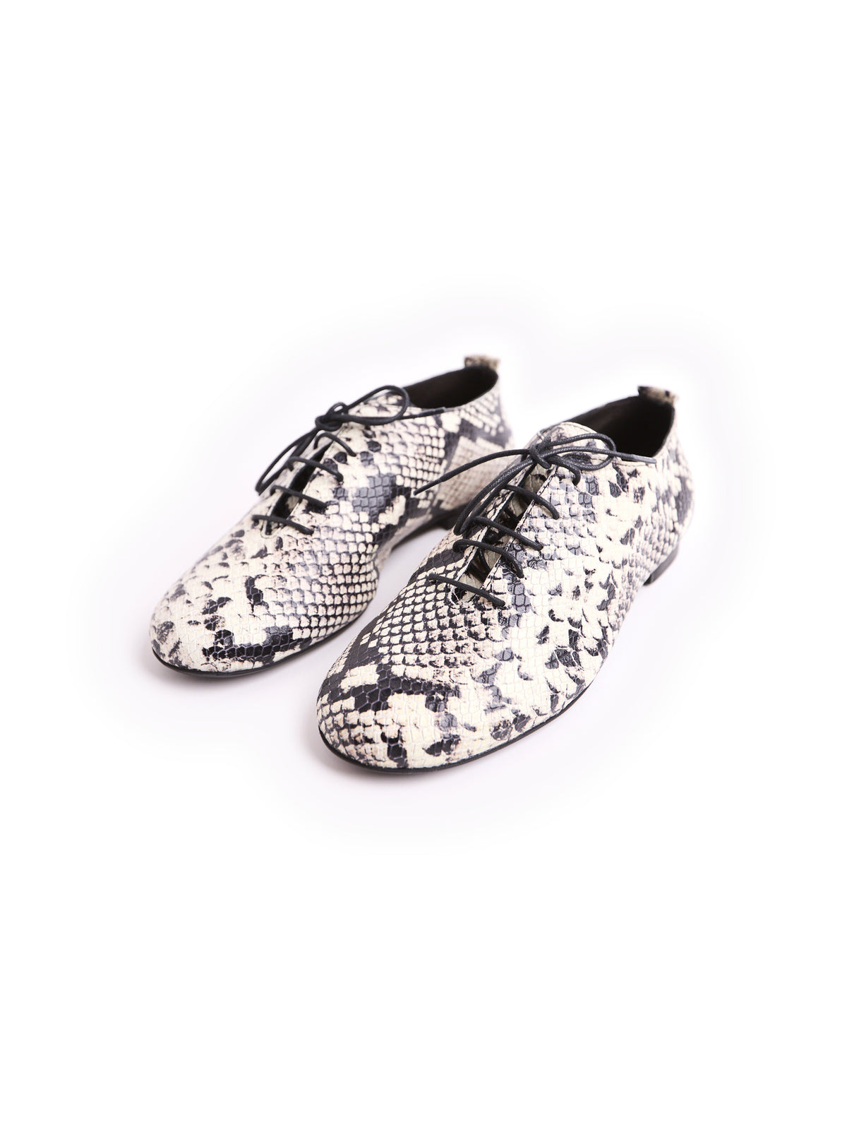 ZIGGY — Scarpa jazz