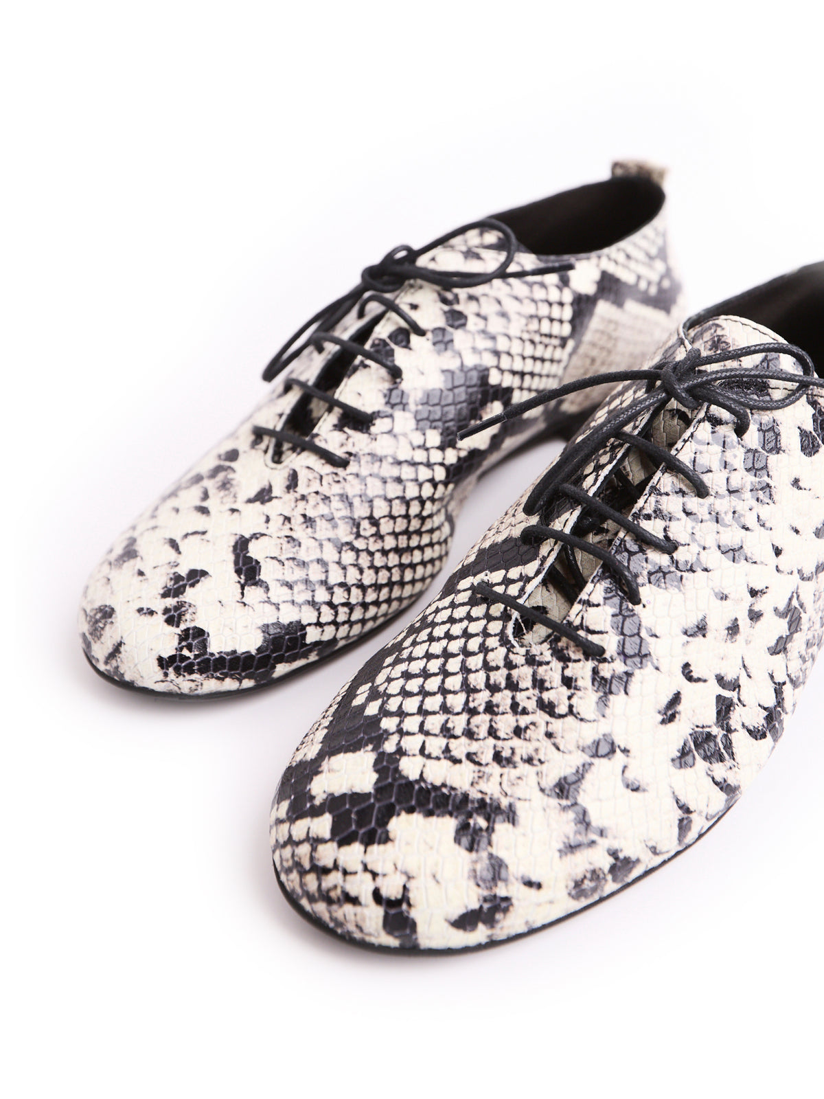 ZIGGY — Scarpa jazz