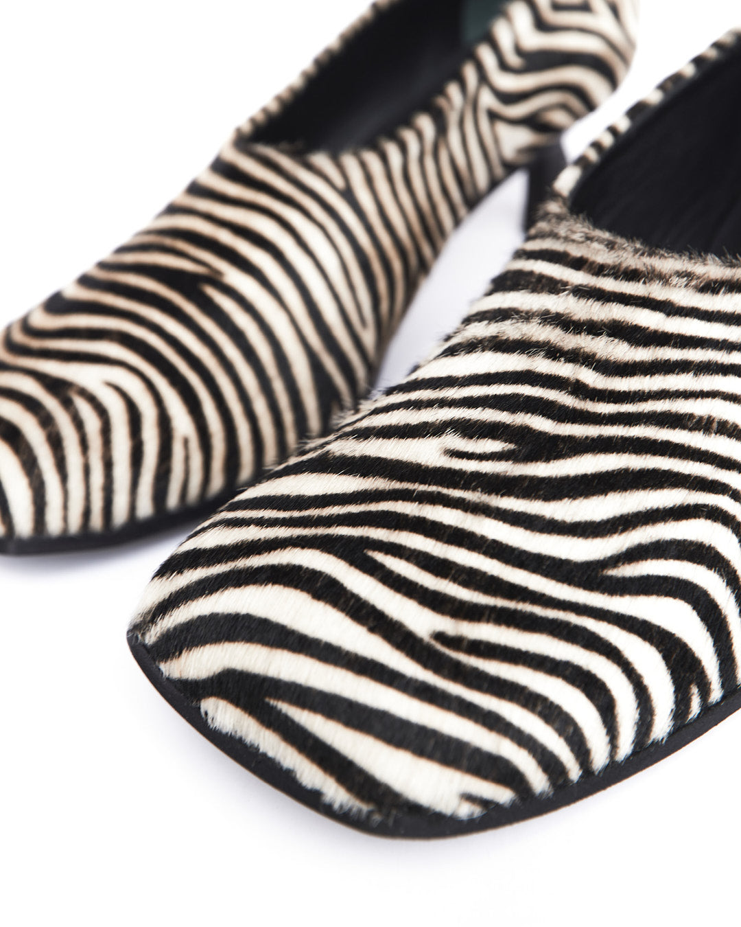 SADE- ZEBRA CAVALLINO